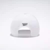Gorra de béisbol Vector