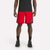 Pantalones cortos de baloncesto de malla para hombre Pantalones cortos de baloncesto de malla para hombre