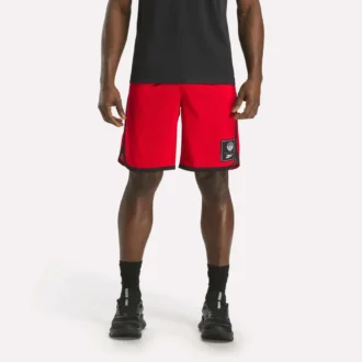 Pantalones cortos de baloncesto de malla para hombre