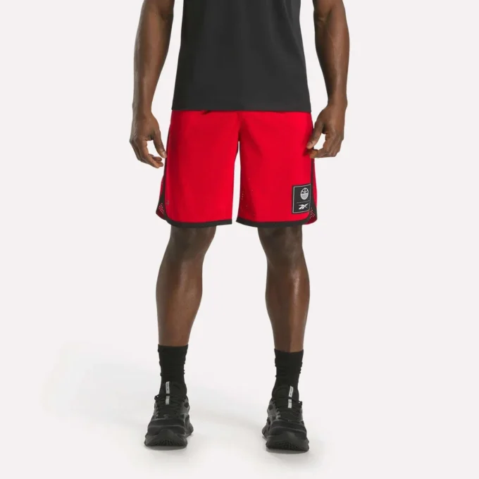 Pantalones cortos de baloncesto de malla para hombre Pantalones cortos de baloncesto de malla para hombre