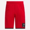 Pantalones cortos de baloncesto de malla para hombre Pantalones cortos de baloncesto de malla para hombre