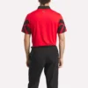 Polo Signature Vector Colorblocked para hombre