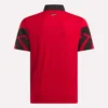 Polo Signature Vector Colorblocked para hombre