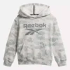 Sudadera con capucha Reebok Identity Big – Niños pequeños