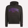 Sudadera con capucha Varsity para hombre Sudadera con capucha Varsity para hombre