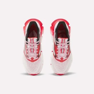Zapatillas de running FloatZig 2 AHA para hombre