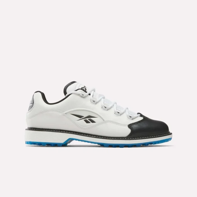 Zapatos de golf Question Zapatos de golf Question