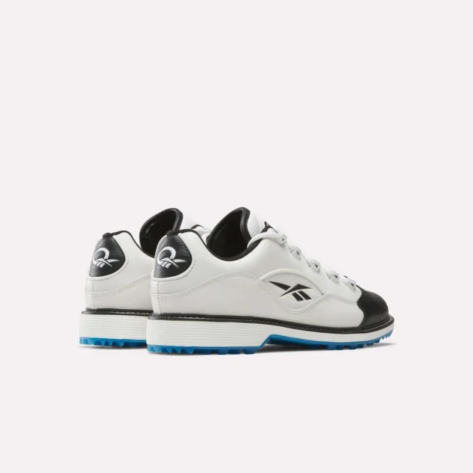 Zapatos de golf Question Zapatos de golf Question