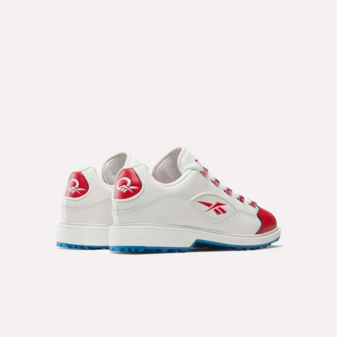 Zapatos de golf Question Zapatos de golf Question