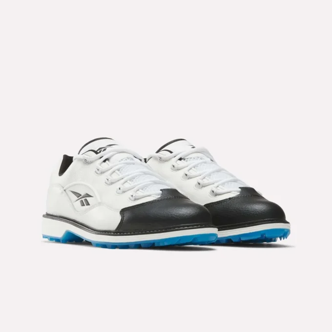 Zapatos de golf Question Zapatos de golf Question