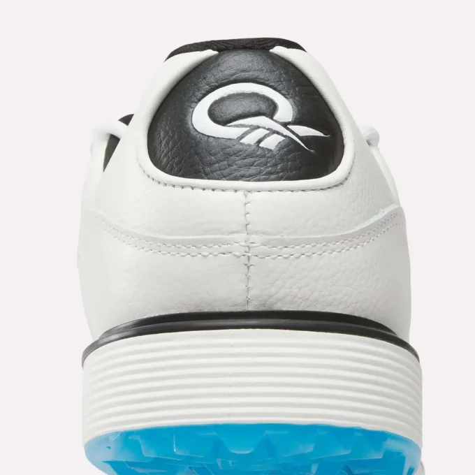 Zapatos de golf Question Zapatos de golf Question